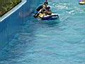 Resize of DSC00104.jpg